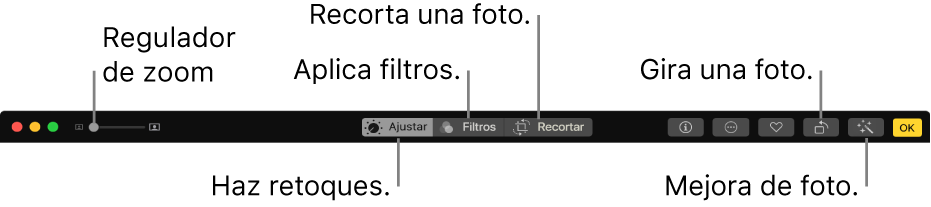 La barra de herramientas de edición mostrando un regulador de zoom y botones para realizar ajustes, agregar filtros, recortar fotos y mejorar fotos.