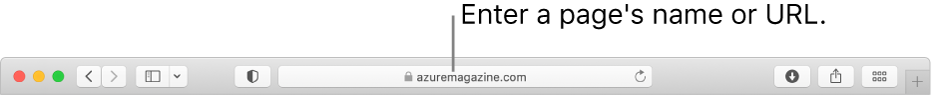 The Safari Smart Search field, where you can enter a page’s name or URL.