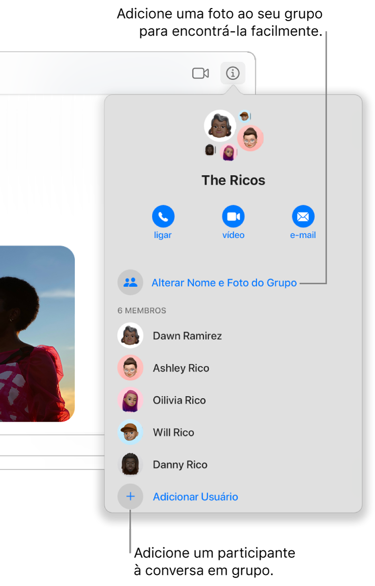 Visualização de Detalhes, que aparece ao clicar no botão Detalhes em uma conversa em grupo. Adicionar Membro aparece abaixo do nome do último participante na lista. É possível alterar o nome e a foto do grupo, logo acima dos nomes dos participantes.