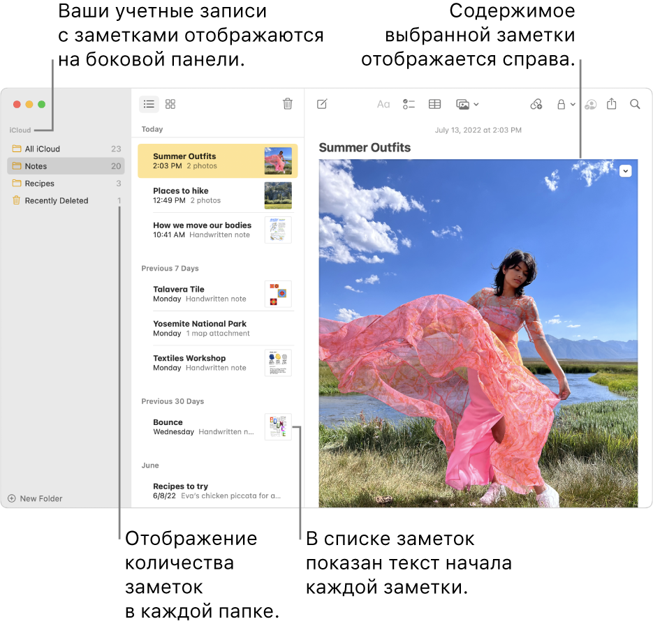 Окно Заметок: в боковом меню слева показаны все Ваши учетные записи и папки, в центре показан список заметок с небольшим изображением каждой заметки, а справа показано содержимое выбранной заметки. Рядом с каждой папкой отображается количество заметок.