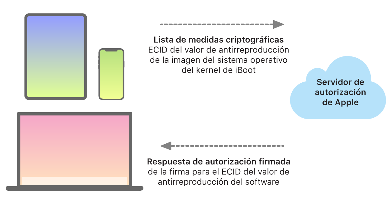 Diagrama que muestra cómo envían información los dispositivos Apple al servidor de autorización de Apple, que, a su vez, devuelve una respuesta.