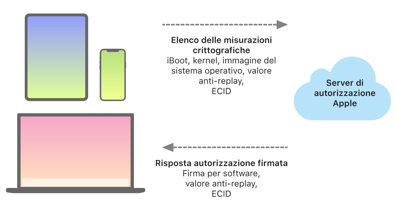 Un grafico che mostra il modo in cui i dispositivi Apple inviano informazioni al server di autorizzazione Apple, che a sua volta invia una risposta.