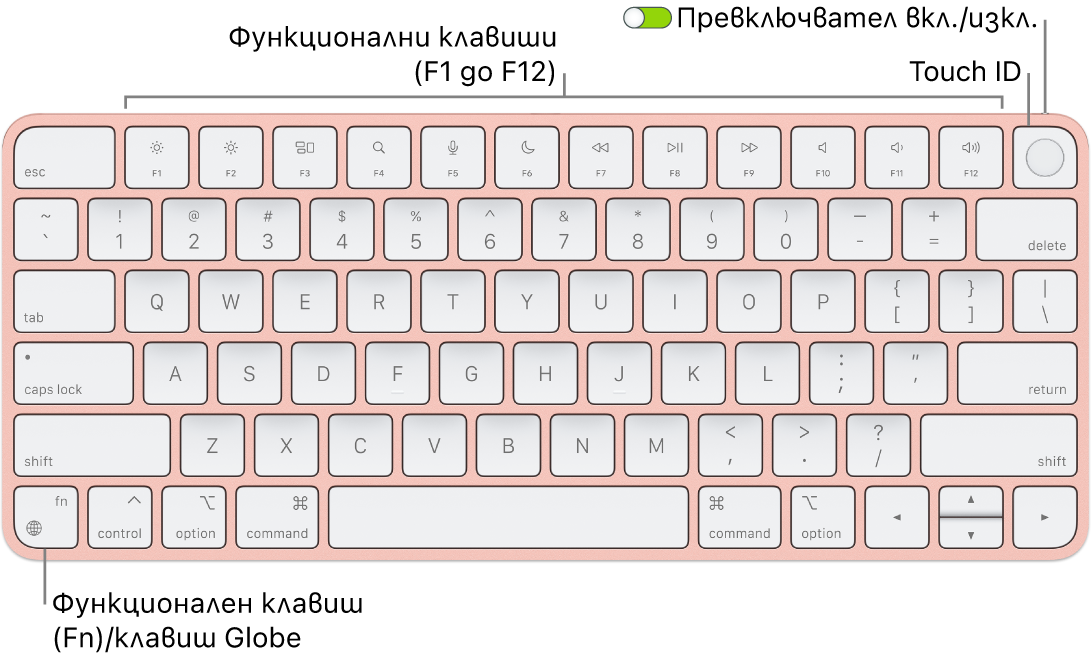 Клавиатурата Magic Keyboard с Touch ID, която показва редицата с функционални клавиши, Touch ID в горния край и клавиша Function (Fn)/Globe в долния ляв ъгъл.