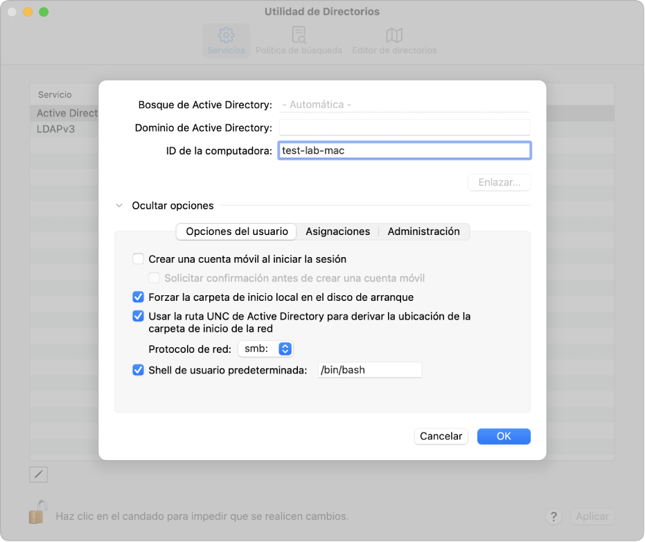 Las opciones de configuración de Active Directory con la sección de opciones avanzadas ampliada.