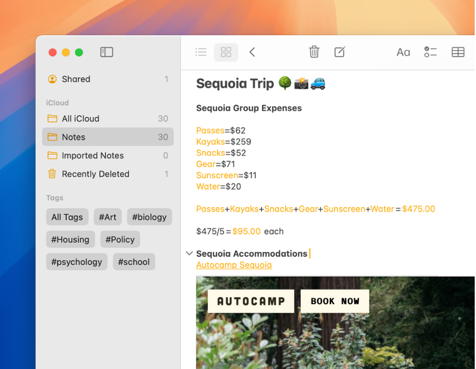 В окне приложения «Заметки» на Mac показана часть заметки с перечислением ожидаемых затрат на покупку билетов, каяков, солнцезащитного крема и воды. В тексте заметки автоматически проводится сложение и вычитание.