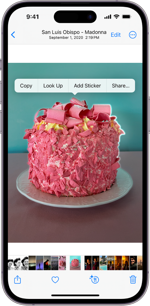 Një fotografi hapet në bibliotekën e aplikacionit Photos. Subjekti në qendër të fotografisë është i përcaktuar me një kontur dhe mbi të shfaqen butonat Copy, Look Up, Add Sticker dhe Share.