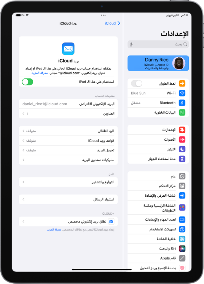 تطبيق الإعدادات مفتوح على شاشة بريد iCloud. يظهر نطاق بريد إلكتروني مخصص في الجزء السفلي من القائمة.