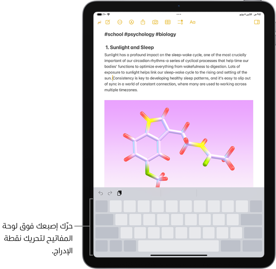 مستند مفتوح في تطبيق الملاحظات. تظهر لوحة المفاتيح على الشاشة في النصف السفلي من الشاشة في نمط لوحة التعقب.