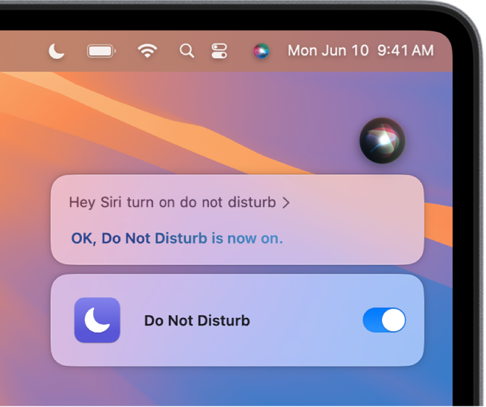 The Siri window showing a request to complete the task, “Turn on do not disturb”.