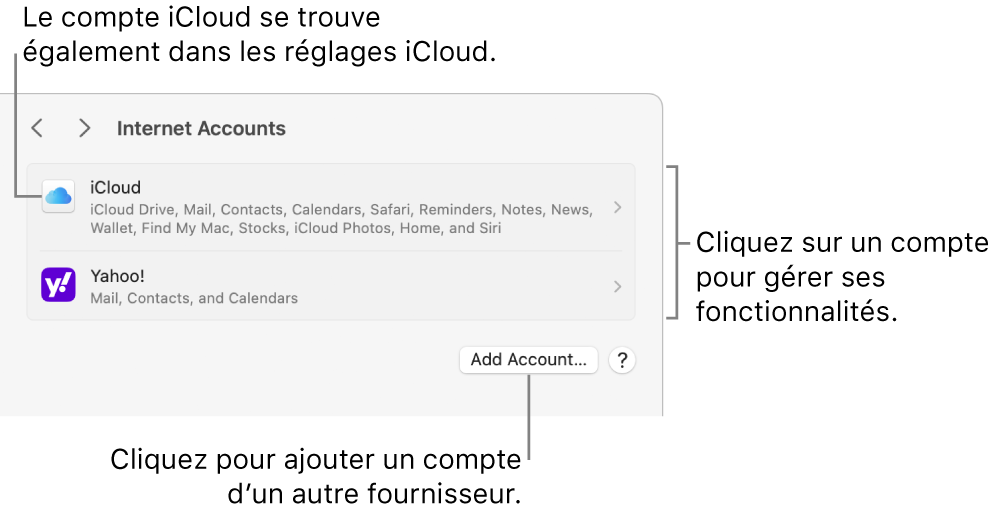 Les réglages « Comptes Internet » avec une liste des comptes configurés sur le Mac.