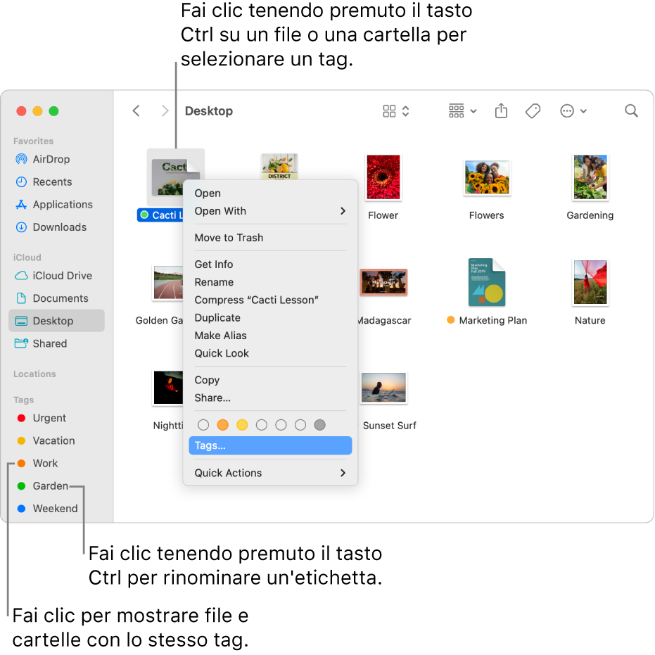 Una finestra del Finder con file e cartelle con tag e un file selezionato. Nel menu delle abbreviazioni, ci sono tag di vari colori ed è evidenziata la parola Tag.