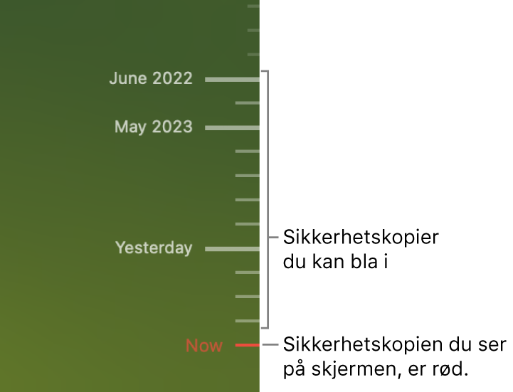 Aksemerker i sikkerhetskopitidslinjen. Det røde merket viser sikkerhetskopien du navigerer i.