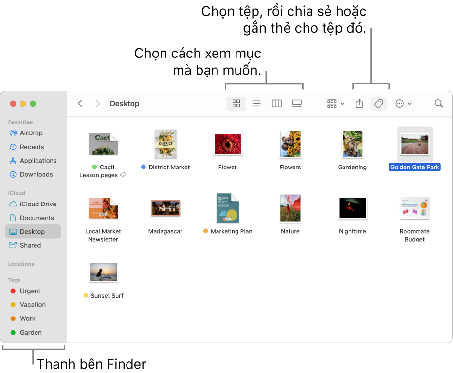 Cửa sổ Finder với thanh bên Finder ở bên trái. Ở đầu cửa sổ là bốn nút thay đổi cách các mục được hiển thị trong cửa sổ và các nút bổ sung để sắp xếp và chia sẻ các mục.