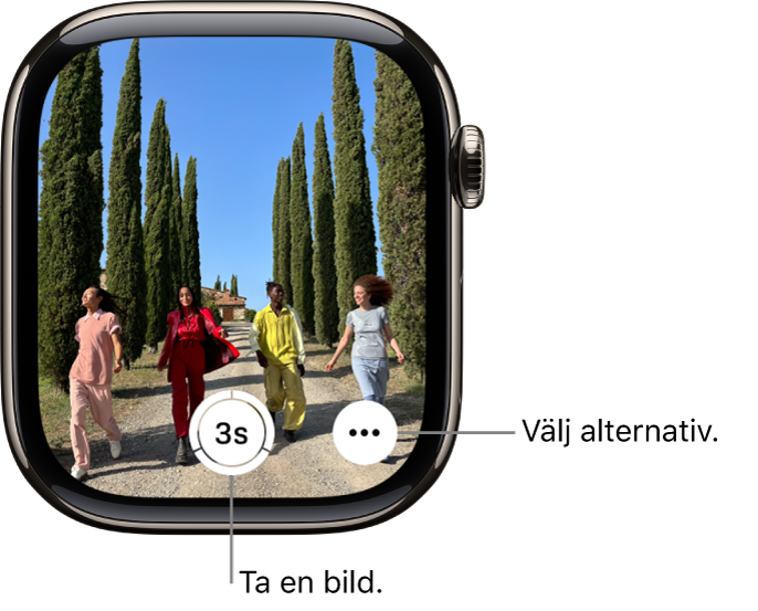 Apple Watch-skärmen visar det som visas i kameravyn på iPhone. Slutarknappen finns i mitten längst ned. Knappen Fler alternativ finns i nedre högra hörnet.