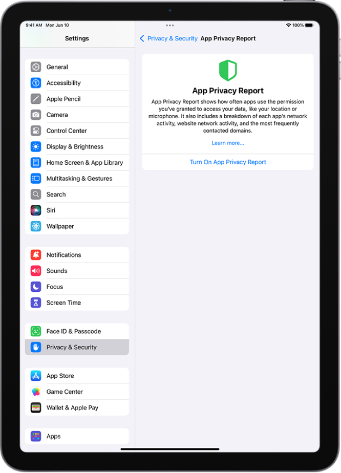 The App Privacy Report screen, where you can turn on a report to show how often apps use the permissions you’ve granted them, along with their network activity.