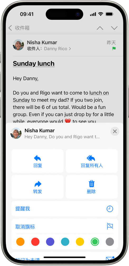 电子邮件的回复选项显示在屏幕下半部分，包括“取消旗标”按钮和旗标的颜色选项。