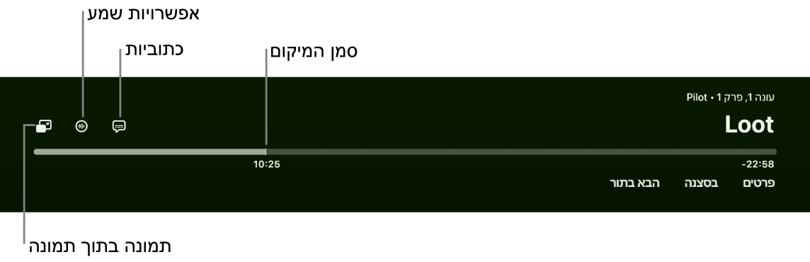 פקדי הפעלה