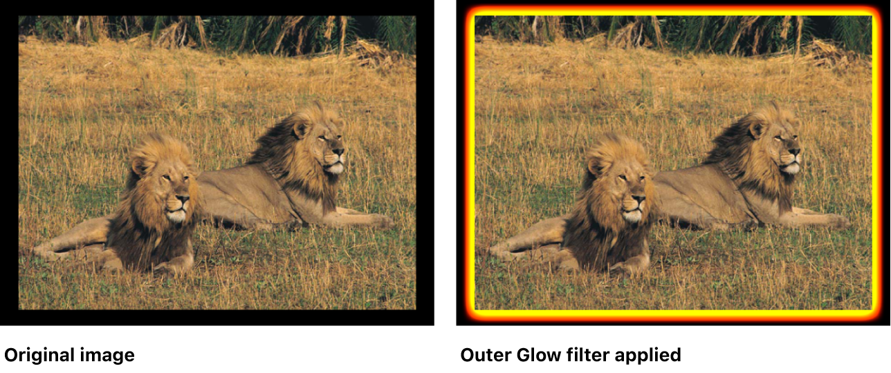 Canvas showing effect of Outer Glow filter