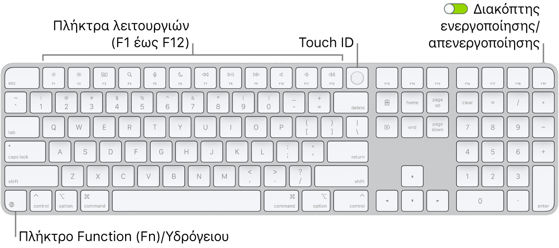 Το Magic Keyboard με Touch ID και αριθμητικό πληκτρολόγιο όπου φαίνονται η σειρά πλήκτρων λειτουργιών και το Touch ID στο πάνω μέρος, και το πλήκτρο Function (Fn)/Υδρογείου στα δεξιά του πλήκτρου Delete.