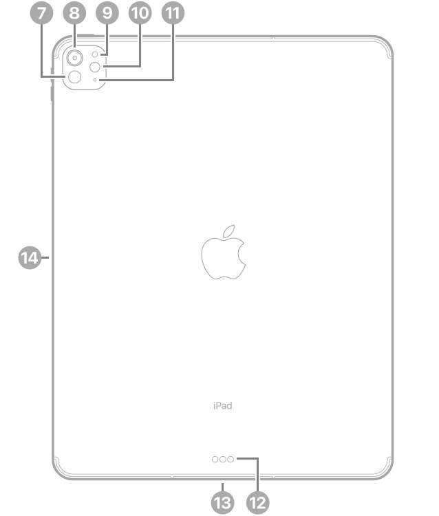 13インチiPad Pro（M4）の背面。左上にLiDAR、背面カメラ、背面環境光センサー、フラッシュ、マイク、下部中央にSmart ConnectorとUSB-Cコネクタ、左側にApple Pencil用の磁気コネクタが示されています。