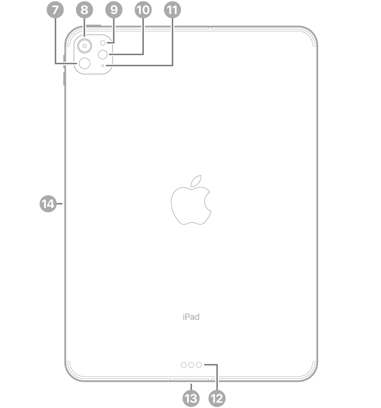 11インチiPad Pro（M4）の背面。左上にLiDAR、背面カメラ、背面環境光センサー、フラッシュ、マイク、下部中央にSmart ConnectorとUSB-Cコネクタ、左側にApple Pencil用の磁気コネクタが示されています。