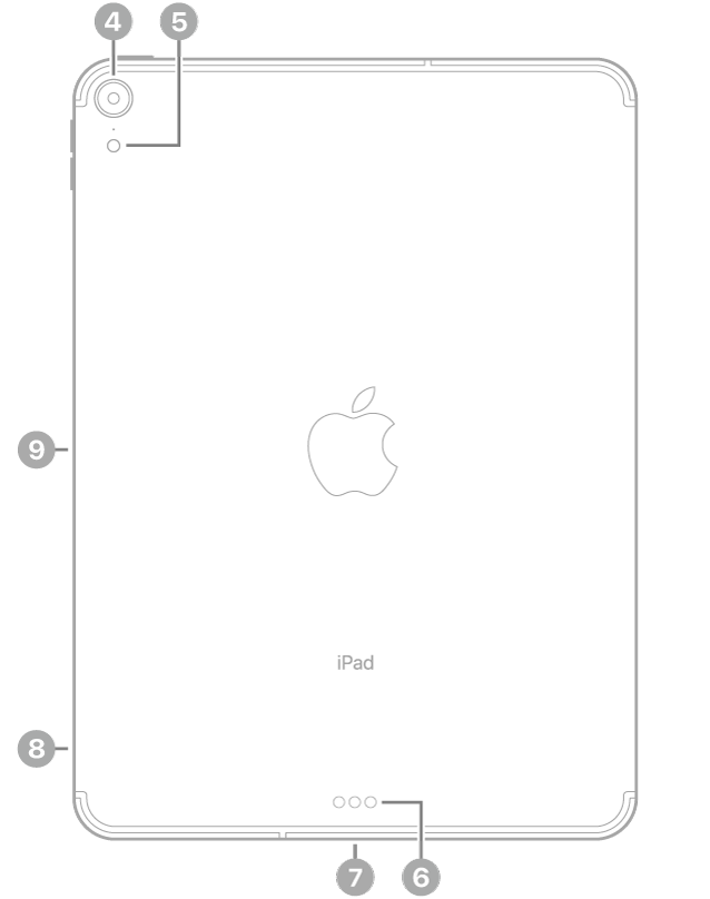 Baksidan på iPad Pro med linjer som pekar på kameran på baksidan och blixten högst upp till vänster, Smart Connector- och USB-C-kontakten längst ned i mitten, SIM-korthållaren (Wi‑Fi + Cellular) längst ned till vänster och den magnetiska kontakten för Apple Pencil till vänster.