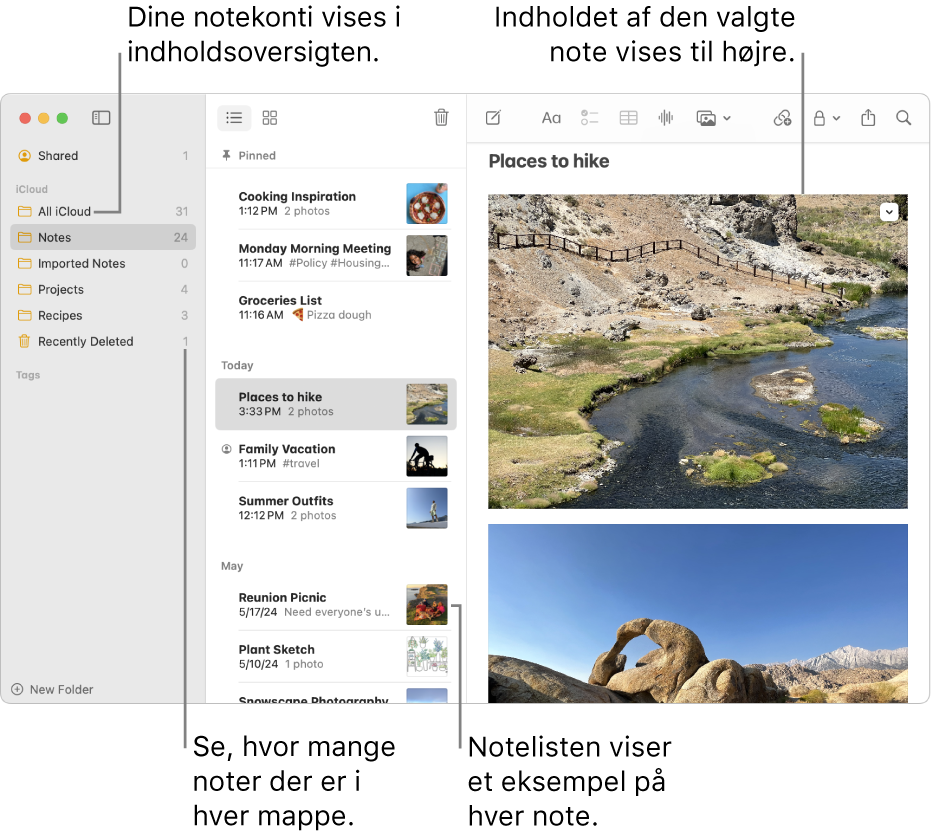 Et vindue i appen Noter på Mac med alle dine konfigurerede konti og mapper i indholdsoversigten til venstre, notelisten, der viser et eksempel på hver note, i midten, og indholdet i den valgte note til højre. Antallet af noter vises ud for hver mappe.