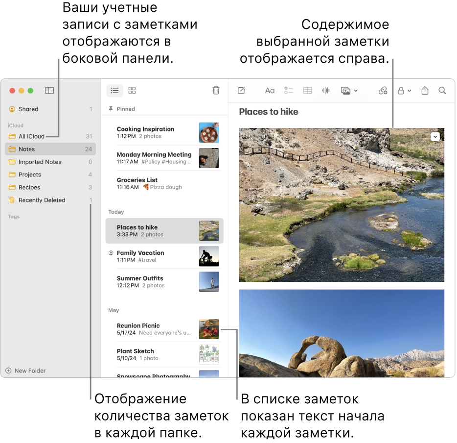 Окно приложения «Заметки» на Mac: в боковом меню слева показаны все Ваши учетные записи и папки, в центре показан список заметок с небольшим изображением каждой заметки, а справа показано содержимое выбранной заметки. Рядом с каждой папкой отображается количество заметок.