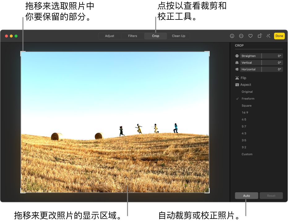 编辑视图中的照片，其中已选择工具栏中的“裁剪”；照片周围是选择矩形，右侧是“校正”滑块、宽高比选项以及“自动”和“还原”按钮。