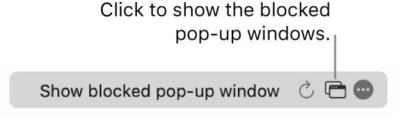 The Smart Search field with an icon to show blocked pop-up windows.