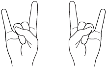 Hai bàn tay đang tạo thành cử chỉ hang-loose