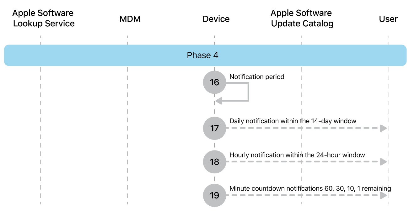 Phase 4 showing steps 16 through 19 of Apple software update enforcement.