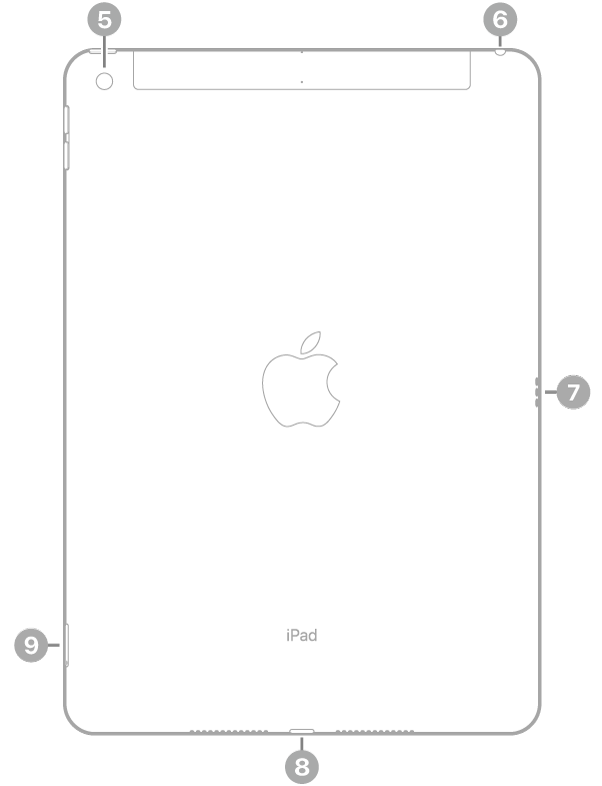 Vista posteriore di iPad con didascalie relative alla fotocamera posteriore in alto a destra, lo Smart Connector a destra, il connettore Lightning in basso, al centro, e il vano della SIM (Wi-Fi + Cellular), in basso a sinistra.