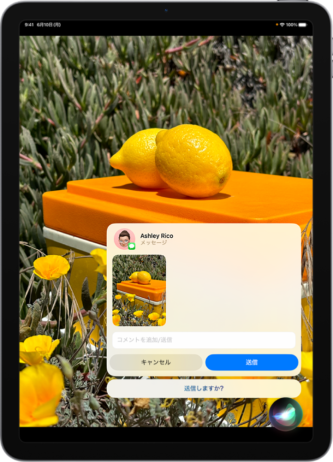 iPadの画面。右下隅にSiriの聞き取りアプリ、上部にはすぐに送信できるテキストメッセージの形式でSiriからの応答が表示されています。