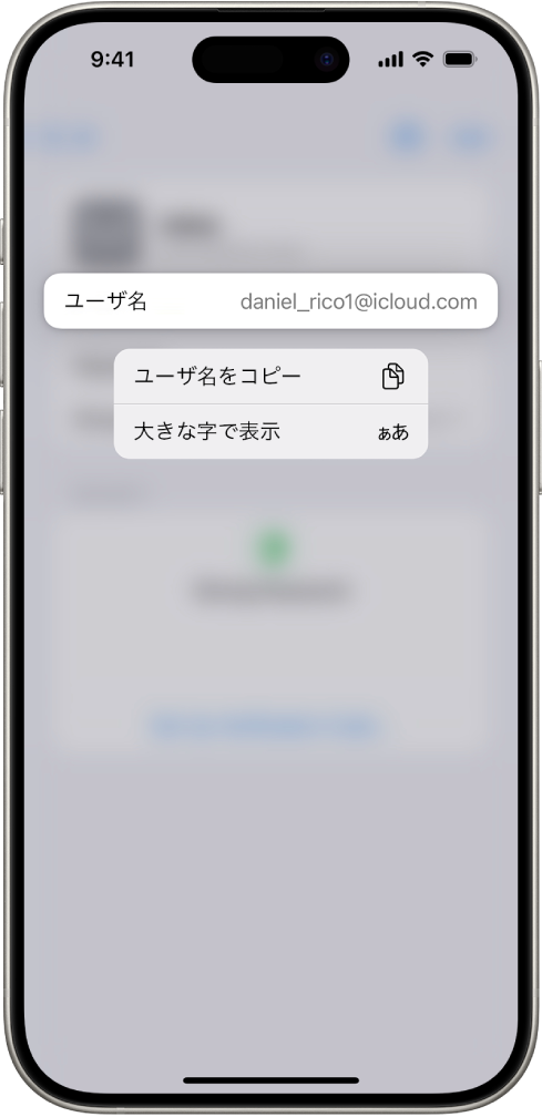 アカウントの画面。強調表示されたユーザ名と、「ユーザ名をコピー」と「大きな字で表示」のためのオプションが表示されています。