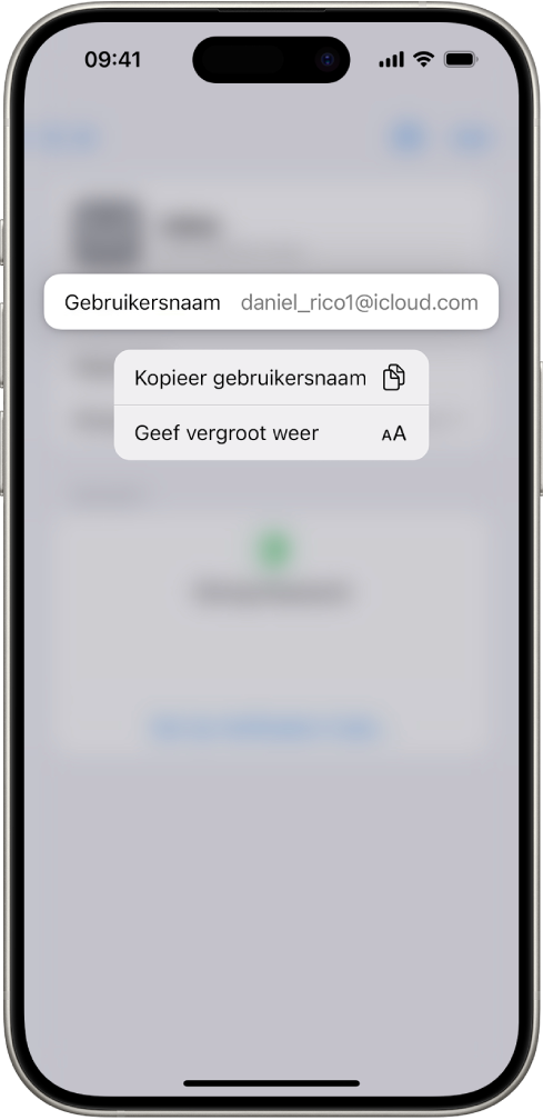 Een accountscherm waarop de gebruikersnaam is gemarkeerd en de opties 'Kopieer gebruikersnaam' en 'Geef vergroot weer' te zien zijn.