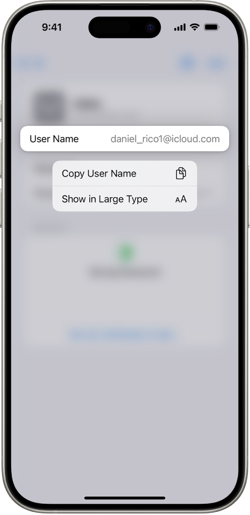 Екран налога са истакнутим корисничким именом, испод којих су опције Copy User Name и Show in Large Type.