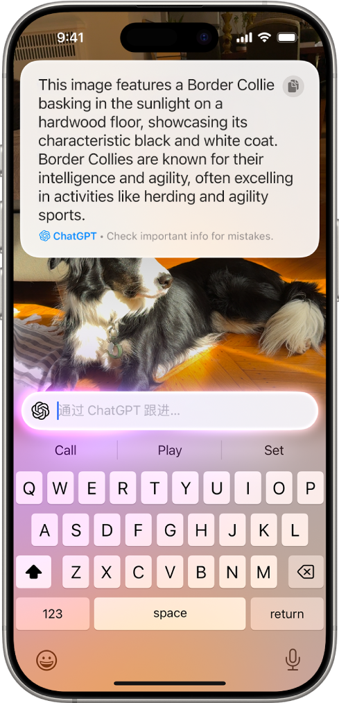 视觉智能屏幕显示 ChatGPT 结果。屏幕顶部是 iPhone 相机拍摄的一条狗的 ChatGPT 描述。屏幕中间是用于输入后续文本以发送给 ChatGPT 的文本栏。