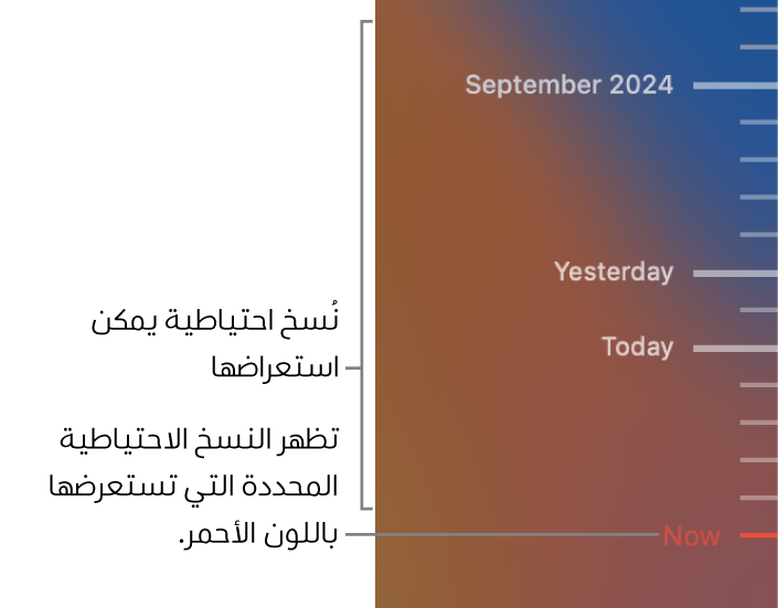 علامات اختيار في المخطط الزمني للنسخ الاحتياطي. علامة اختيار باللون الأحمر تشير إلى النسخة الاحتياطية التي تستعرضها.