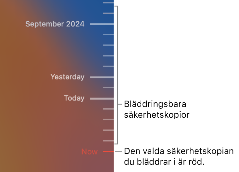 Gradstreck på tidslinjen för säkerhetskopiering. Den röda bockmarkeringen visar vilken säkerhetskopia du bläddrar i.