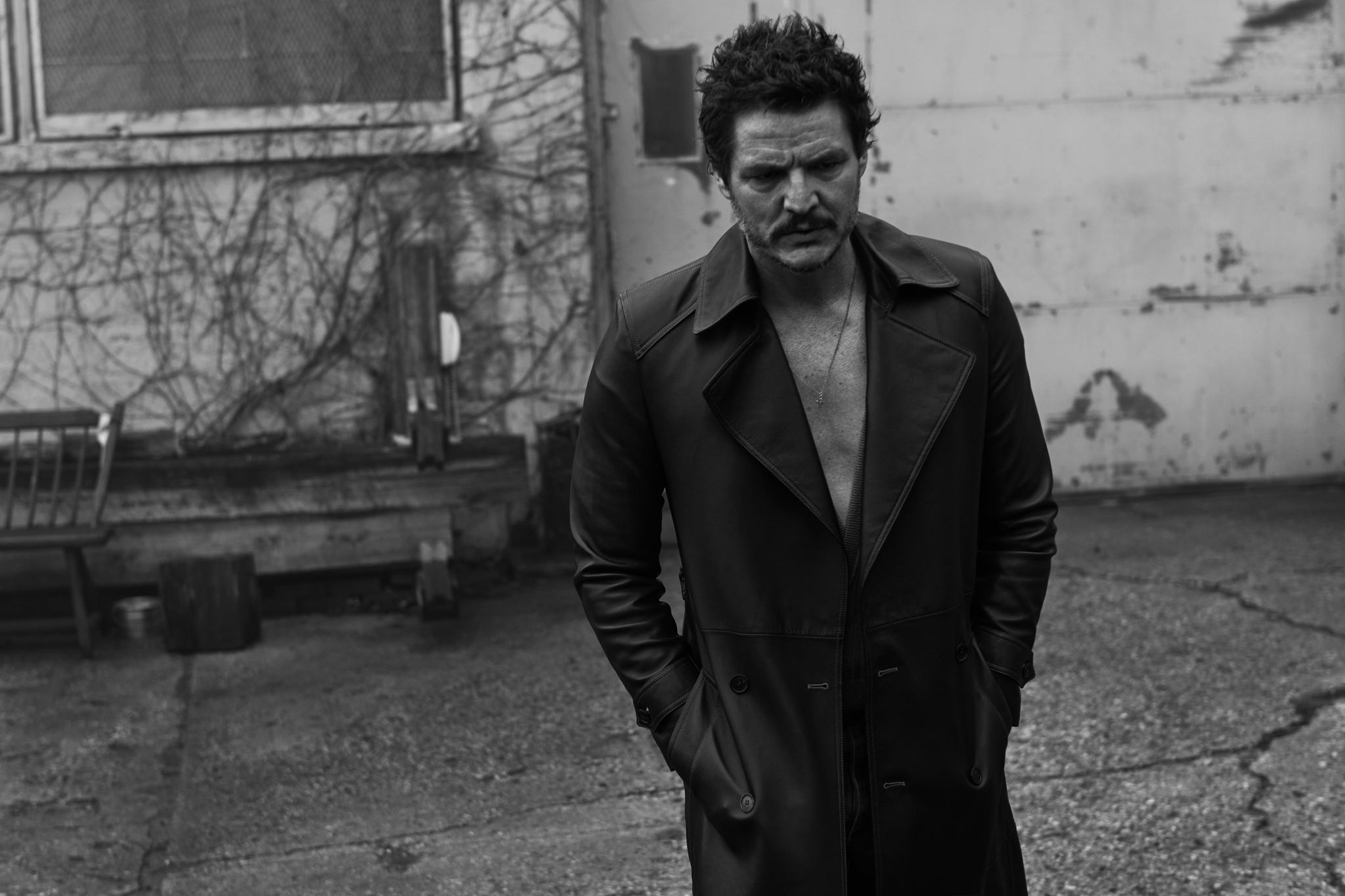 pedro pascal