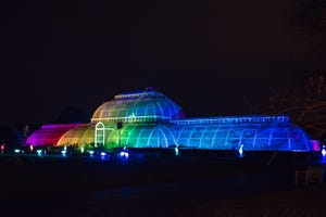 illumination artworks are pictured at kew gardens for christmas at kew exhibition, london on december 3, 2017 the exhibition consists of a mile long trail that leads visitors past singing trees, a fire garden, kaleidoscopic projections and giant flora inspired lights photo by alberto pezzalinurphoto via getty images