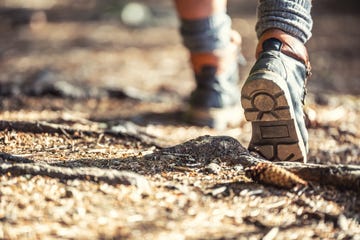 rear view of hikers man or woman with boots walking