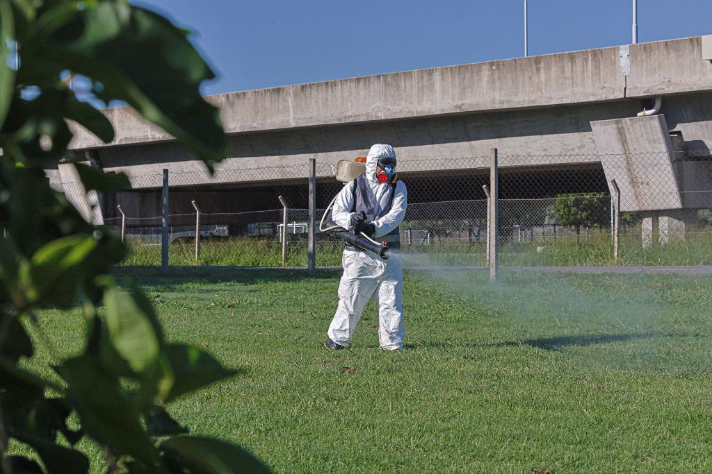 dengue epidemic attacks a large part of argentina