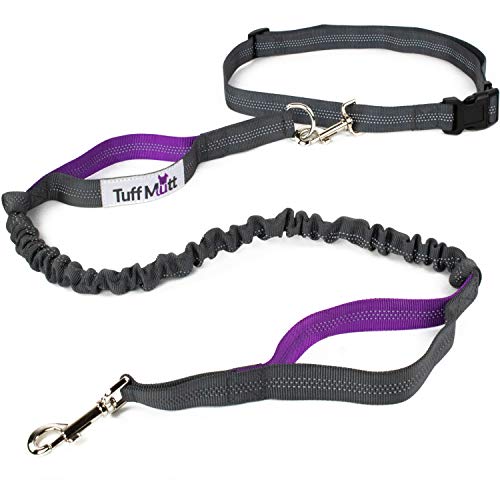 Hands-Free Dog Leash