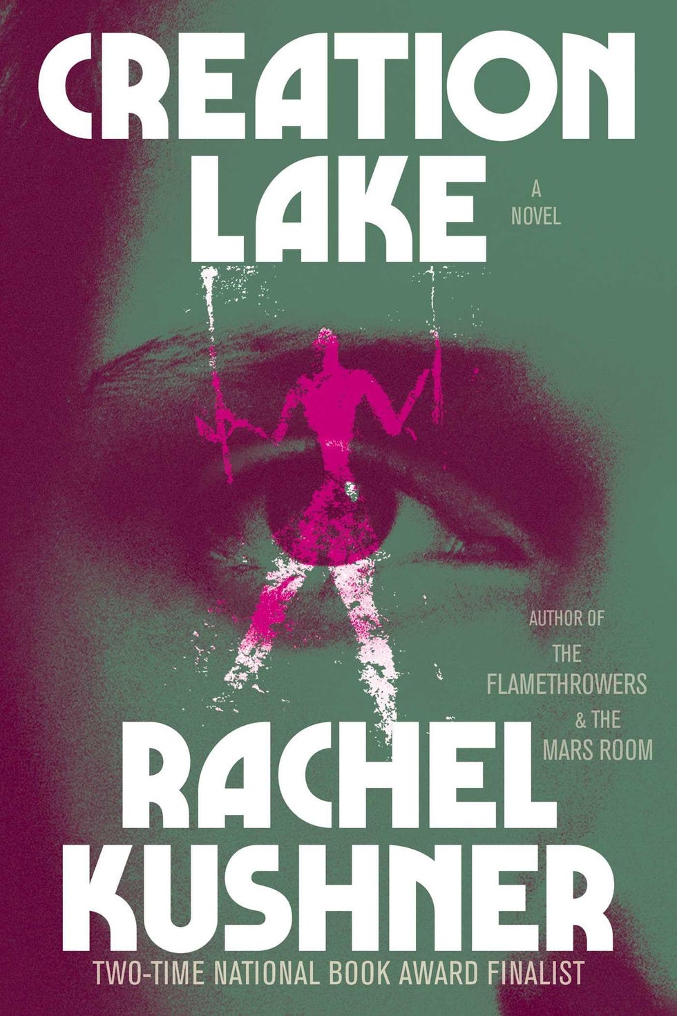 Creation Lake, by Rachel Kushner