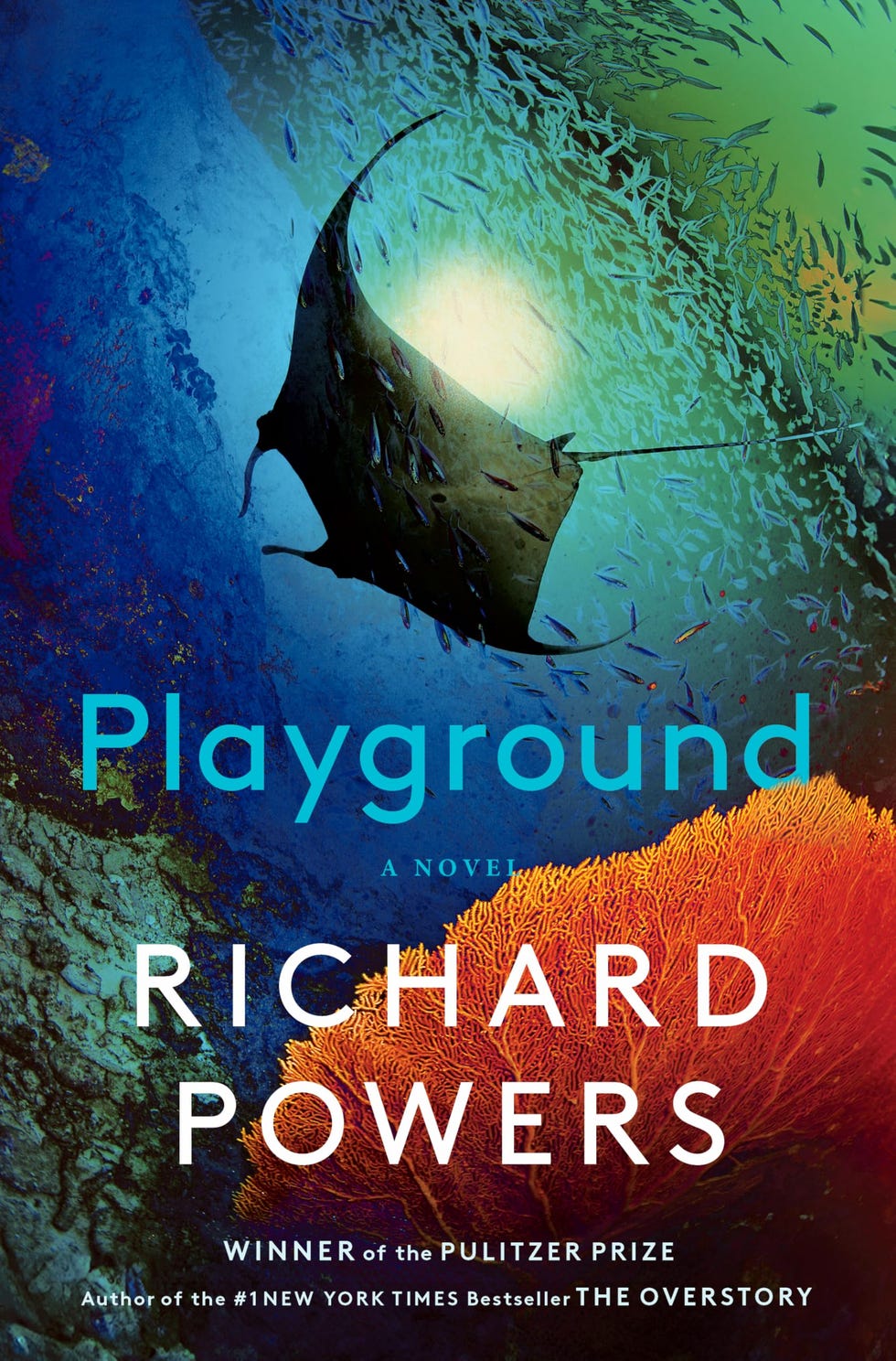 Playground, by Richard Powers