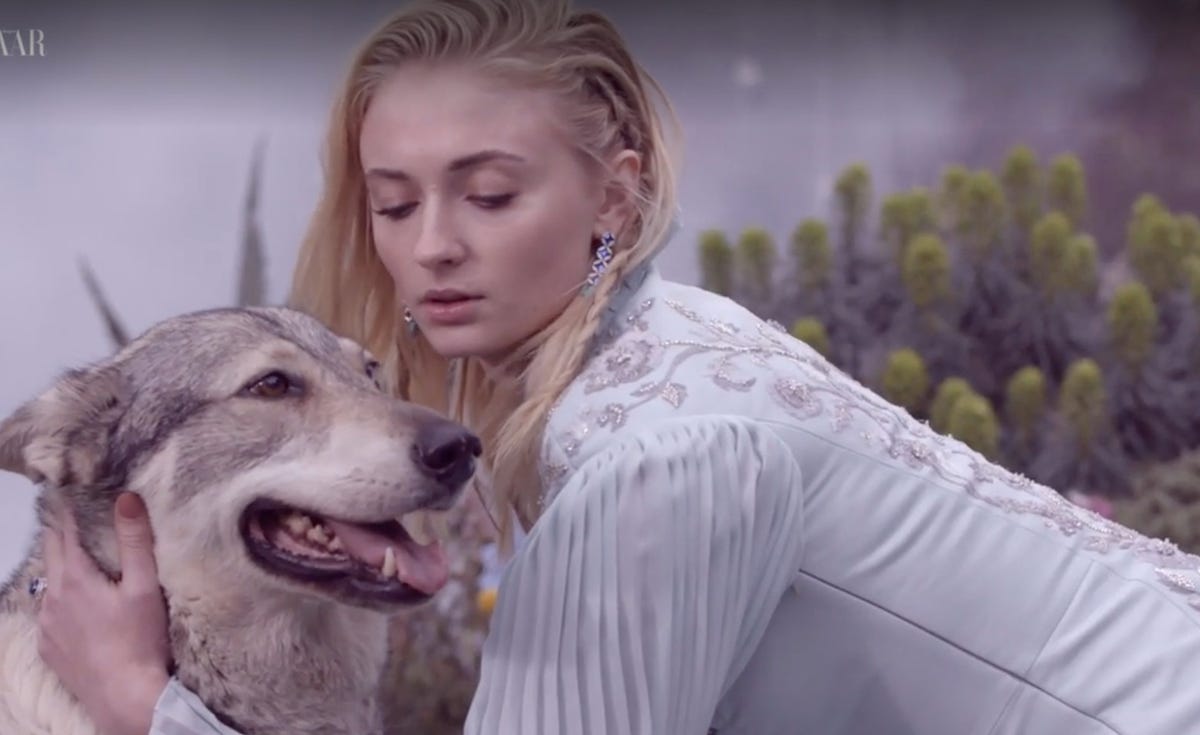 preview for Life lessons with Sophie Turner