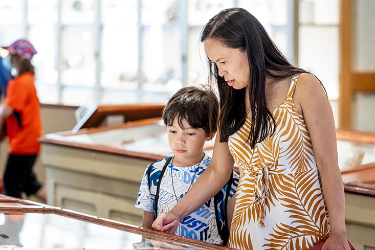 A woman and child looking at minerals in the Harvard Museum of Natural History.