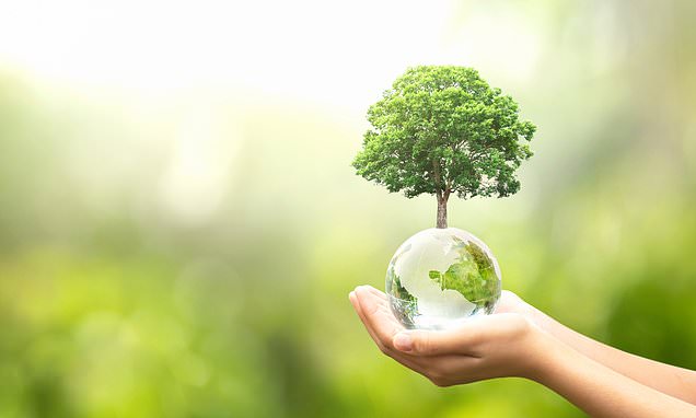 Ten ways to be sure your 'green' fund really does help save the planet